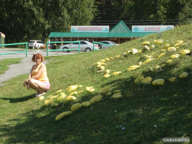 44177_98544758.jpg
